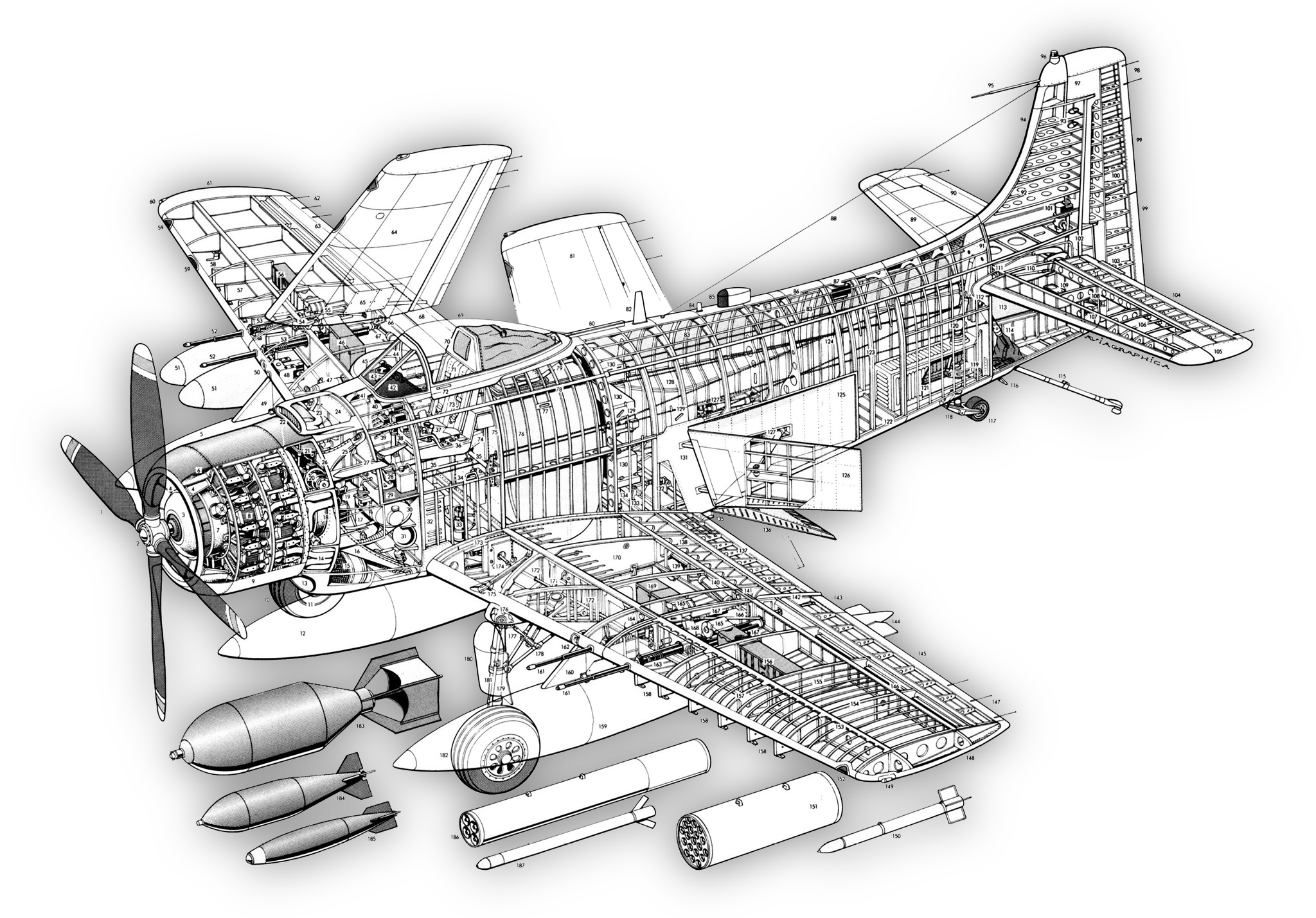 Don's Profile Warbird Plans # 9 Douglas A-1H Skyraider .36 to .46 